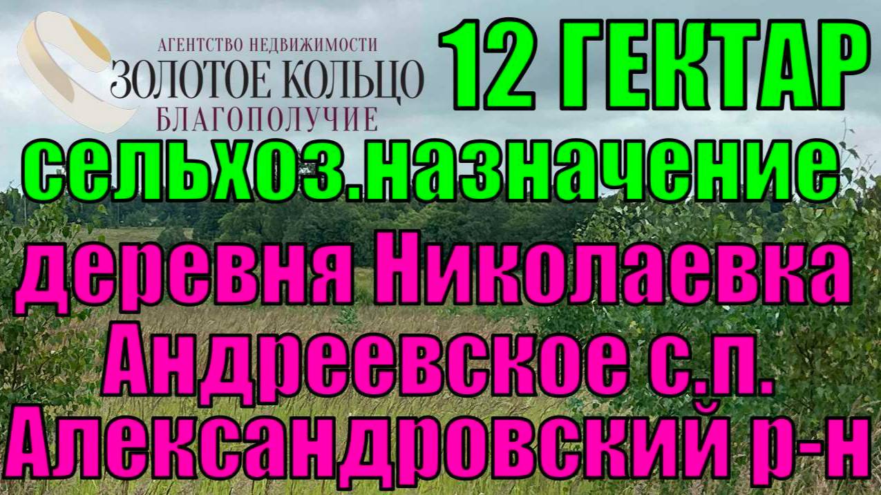 Участок 12 Га для сельскохоз. назначения в д.Николаевка (Андреевское с.п.), Александровский район