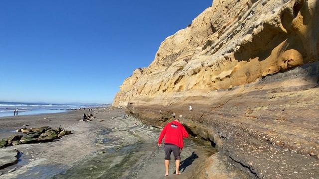 Зачем нужна информированность? Кто владеет информацией, тот владеет миром - Ротшильд // Torrey Pine смотреть онлайн