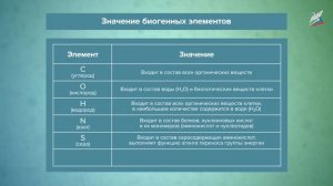 Химический состав клетки. Неорганические молекулы живого вещества