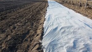 Посадка картофеля сорта Ривьера под агроволокно на 31. 03.19г. Сезон весенне полевых работ открыт.