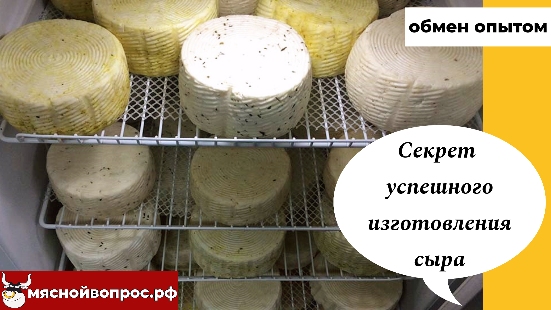 мяснойвопрос.рф - ОБМЕН ОПЫТОМ. Секрет успешного изготовления сыра