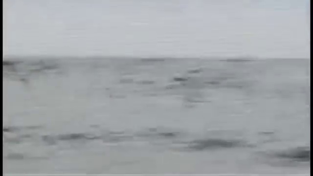 Настоящий живой динозавр смотреть онлайн