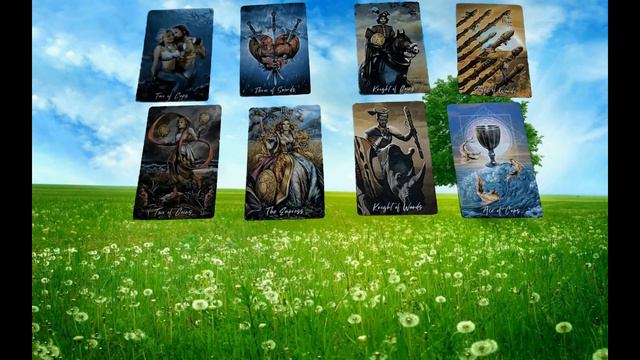 Ответы на ваши вопросы про Нового Лидера. смотреть онлайн