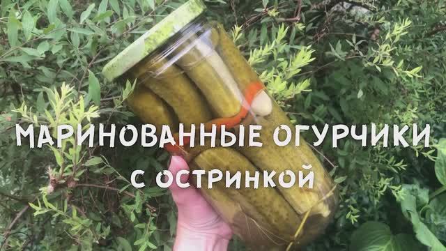 МАРИНОВАННЫЕ ОГУРЧИКИ | Заготовки на зиму своими руками