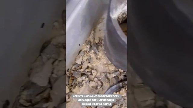 Испытание на морозостойкость  образцов горных пород и щебня из этих пород