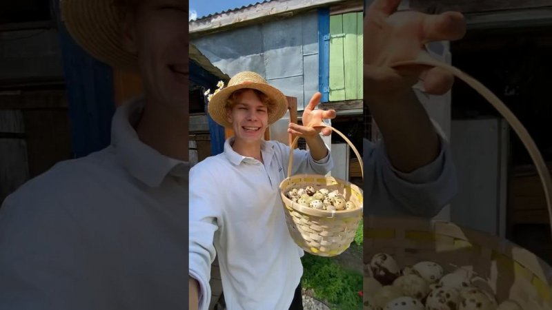 Пойдемте соберём урожай на хоздворе  Молодой фермер