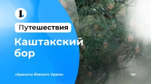 Красоты Южного Урала — Каштакский бор