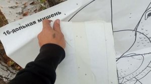 отстрел патрона 2.1х32 дробь 4 шст эверест с сайги 12 к чок 1мм 35 м пыж н 21