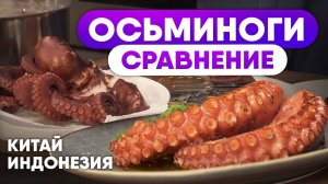 Как правильно выбрать осьминога? Рецепт блюда из Осьминога от шефа. Сравнение и приготовление.