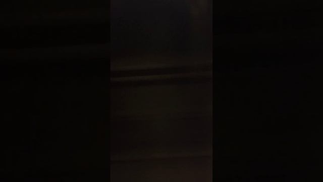 Партизанская-Семеновская.