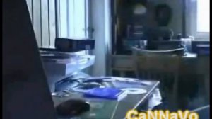 Angry German Kid - (MORTAL KOMBAT REMIX) (V1)