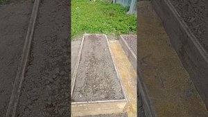 Фрас, зоогумус, биогумус черной львинки.. Да всё равно как это называется! Кладём в теплые грядки.