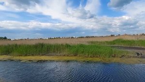 Птичья Гавань Омск