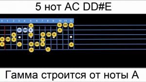 Блюзовая гамма на гитаре учим за 3 минуты