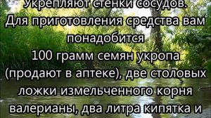 Укроп, мёд и валериана! Всего 1 столовая ложка сотворит чудо с твоими сосудами