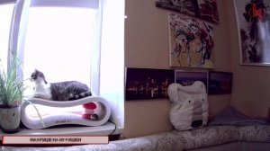 Воздушный Замок. Цикл Ходячий замок, книга 2. Диана Уинн Джонс. Аудиокниги с Махрушей.