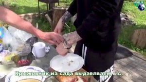 Ребрышки в фольге и шашлыки из баранины