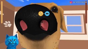 ? ЭВОЛЮЦИЯ ЛАПОК ЖИВОТНЫХ Максимальный Уровень Paw Care Noob vs Pro vs Hacker КОТЁНОК ЛАЙК