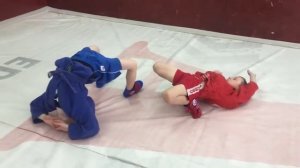 Самбо разминка. Элементы разминки в борьбе.