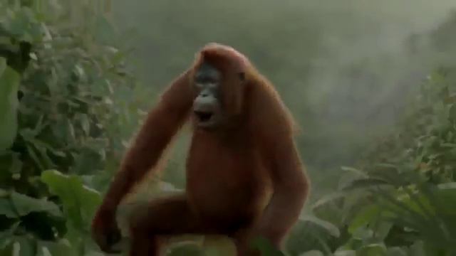 не женюсь смотреть онлайн