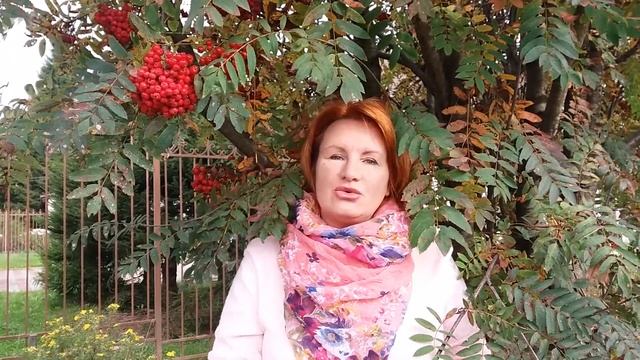 Магические и лечебные свойства краcной и черноплодной рябины смотреть онлайн