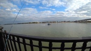 Рыбалка на Набережной. Супер Приманка. Ростов на Дону 2019г.