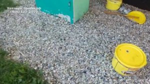 Покраска деревянного дома из бревна