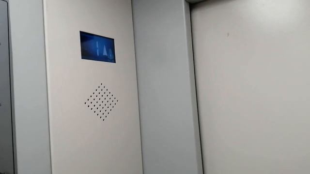 Лифт убийца | killer elevator смотреть онлайн