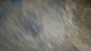 Жизнь пенсионерки в Сибири! И в работе и дома везде одна!