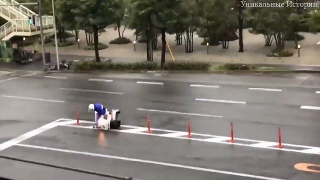 Планета умирает намного быстрее чем ожидалось! 2020 смотреть онлайн