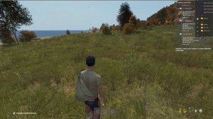 ОВЕРЛЕЙ KILLFEED В DayZ ЧЕРЕЗ Discord