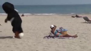 Типичный случай на пляже