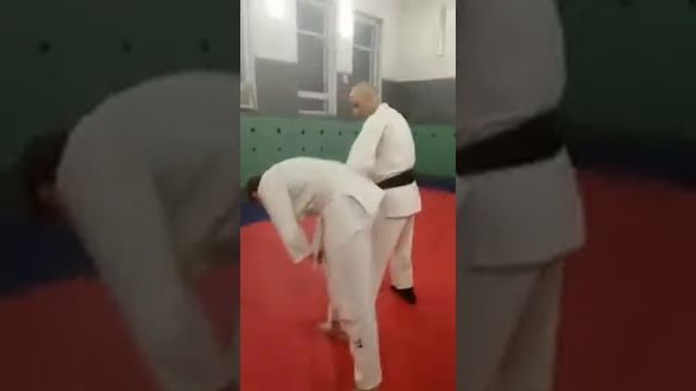 дзю-дзюцу (джиу-джицу) ХИДЖИ ОТОШИ смотреть онлайн