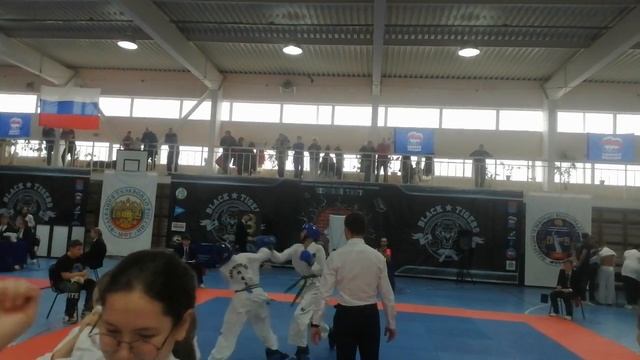 Тхэквондо Волгоград Black Tigers смотреть онлайн