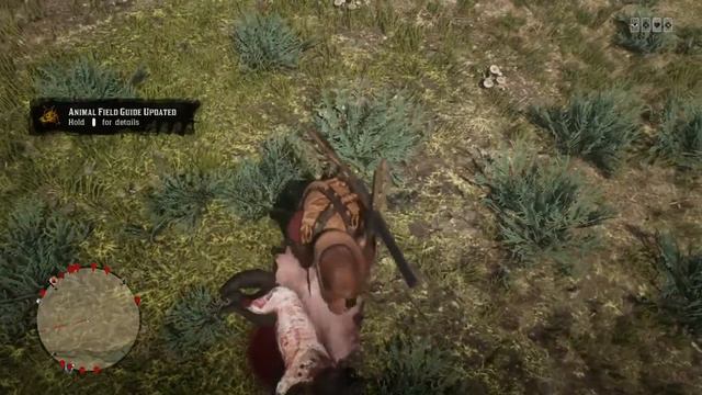 Midnight Coyote Location Red Dead Online смотреть онлайн