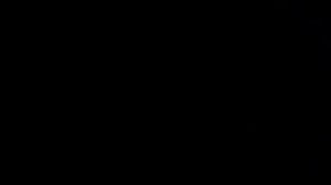 Елена Ваенга в Мэдисон Сквер Гарден_Нью-Йорк_2011