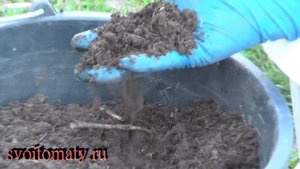 Какие цветы посадить в кашпо.  Основные правила посадки для обильного цветения