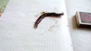 Сколопендра Укусила.mp4