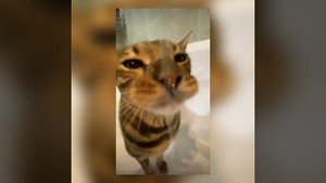 MAD SHOW BOYS- я не ходил на карате ||speed up||