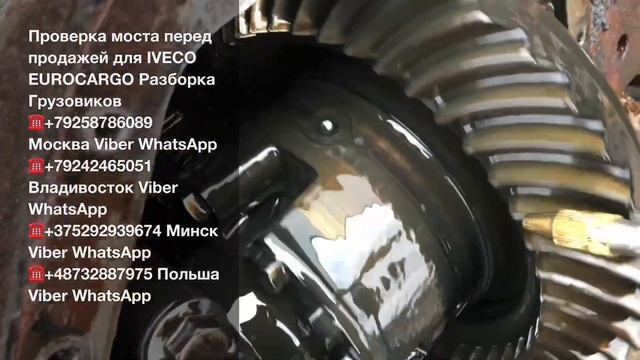 Проверка на вскрытие моста для IVECO EUROCARGO 120E21 Разборка Европейских Грузовиков Ивеко