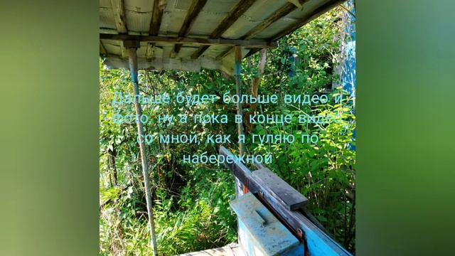 Возрождение дачи смотреть онлайн