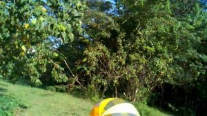 Beach Ball 03