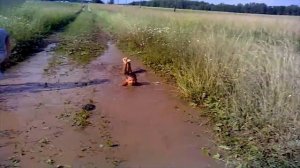 Ромка купается в ЛУЖЕ / Мальчик и лужа / In Russia, child bathing a big mud puddle
