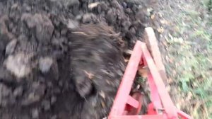 Осенняя вспашка минитрактором