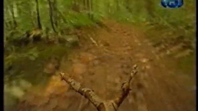 044.Почему у змеи раздвоенный язык смотреть онлайн