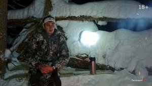 Собака за 500 к Сколько я зарабатываю и откуда у меня столько лицензий
