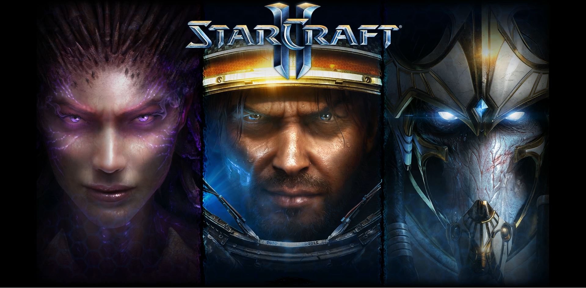 Starcraft ii wings of liberty steam фото 3