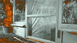 Аdvertising  Реклама Китикет Kitekat   Борис поймал пчелу In Orange Effect