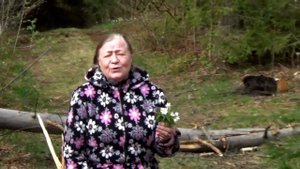 Ой цветет калина в поле у ручья.