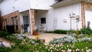 ? Необычный #цветник - ? Ландшафтный дизайн своими руками